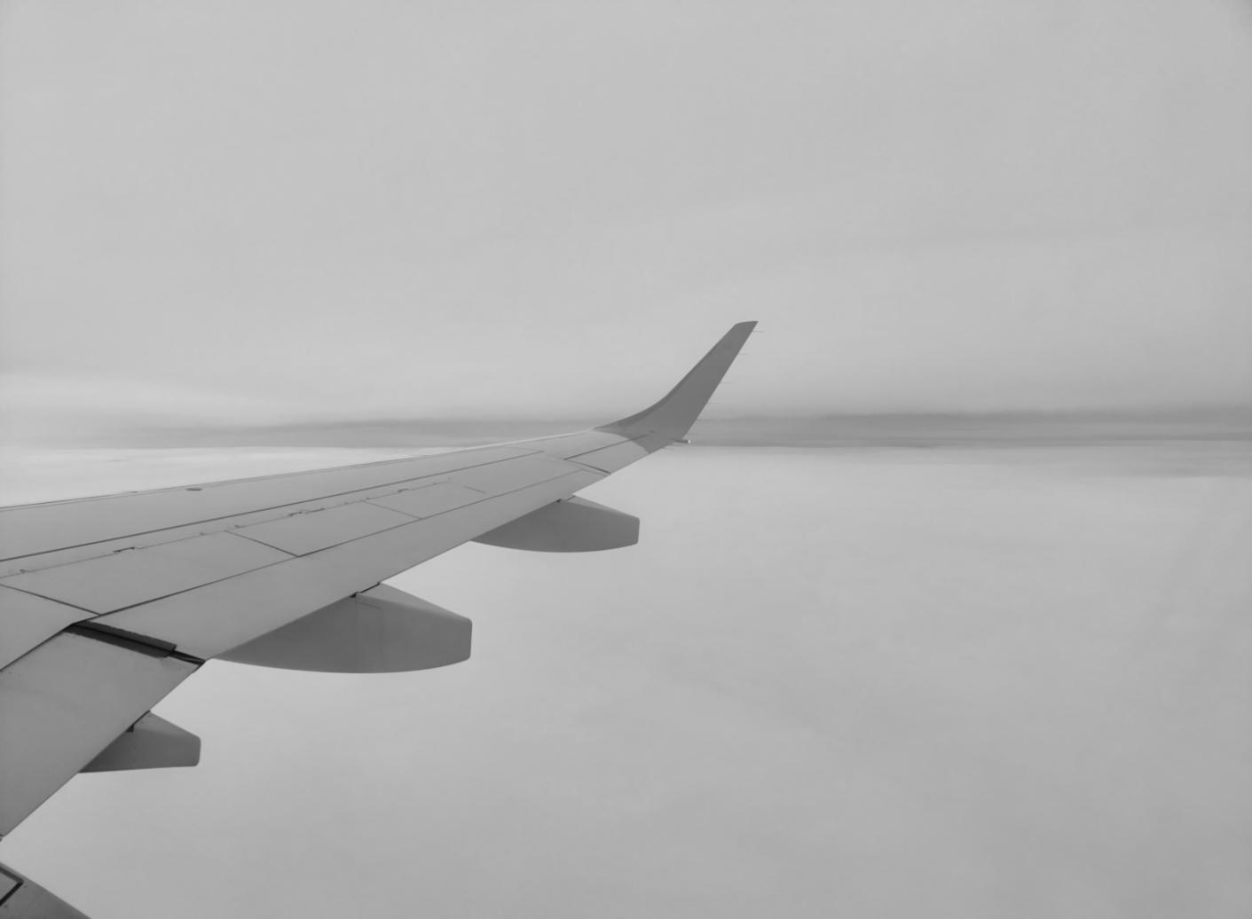 Premium Reiseprogramm Zenithax Torex